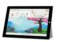原阳Surface 无法开启、Windows 无法启动或电池无法充电
